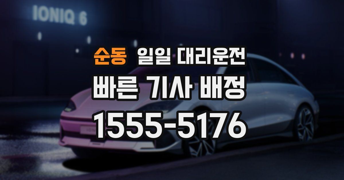 순동 일일 대리운전