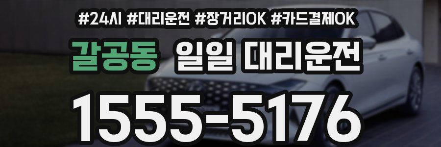 갈공동 일일 대리운전
