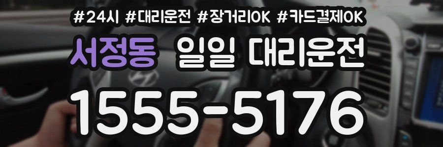 서정동 일일 대리운전
