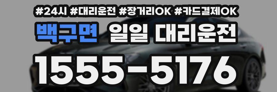 백구면 일일 대리운전