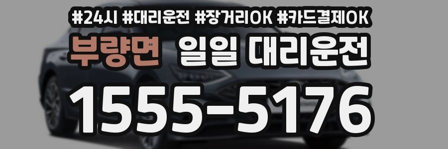 부량면 일일 대리운전