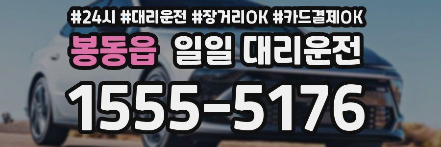 봉동읍 일일 대리운전