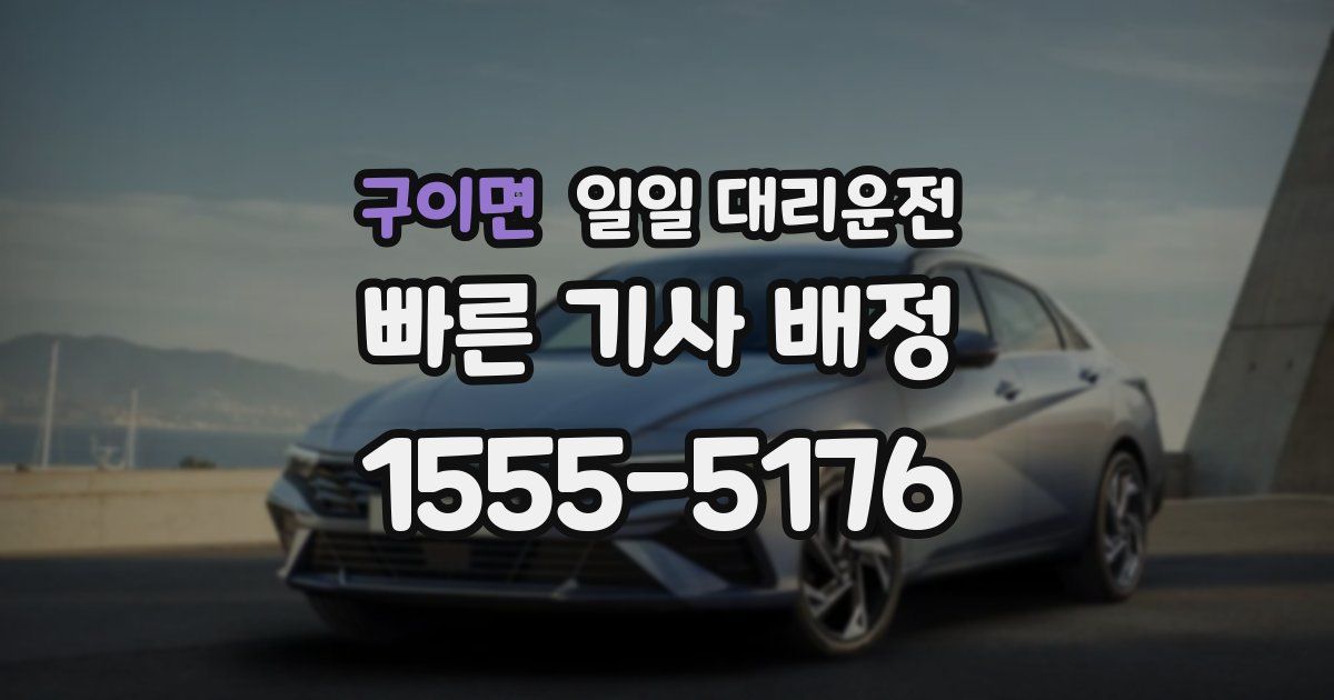 구이면 일일 대리운전