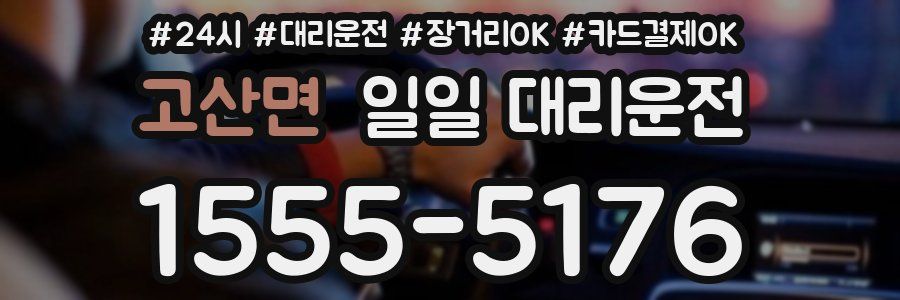 고산면 일일 대리운전