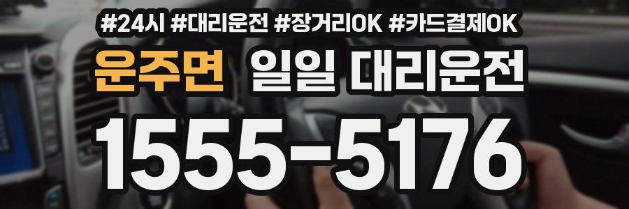 운주면 일일 대리운전