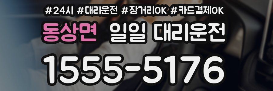 동상면 일일 대리운전