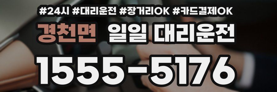 경천면 일일 대리운전