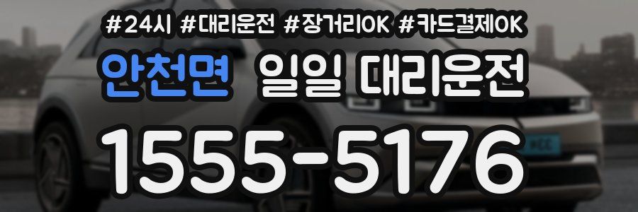 안천면 일일 대리운전