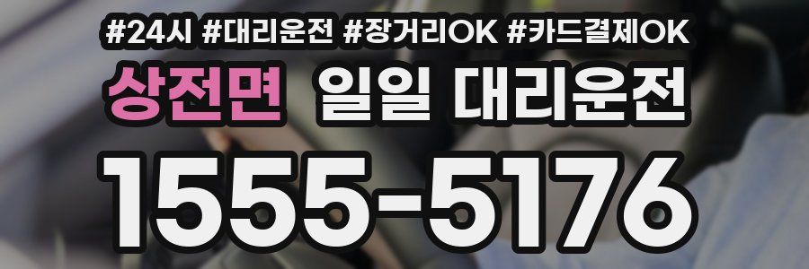 상전면 일일 대리운전
