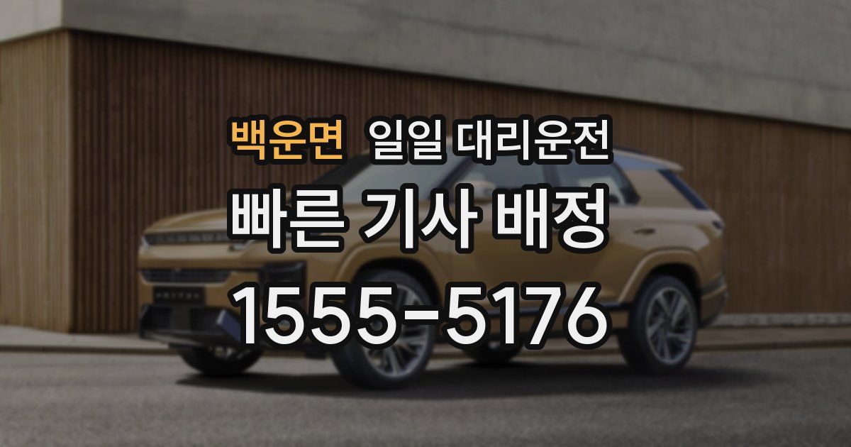 백운면 일일 대리운전