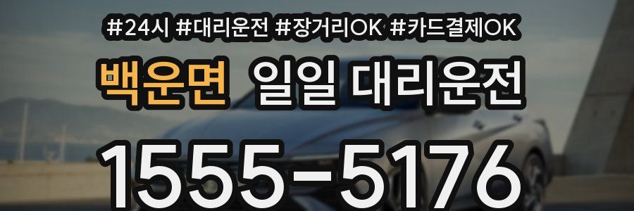 백운면 일일 대리운전