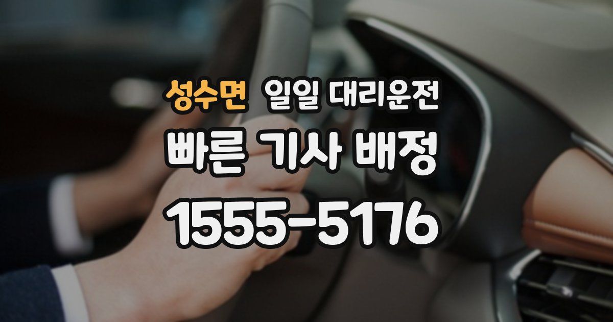 성수면 일일 대리운전