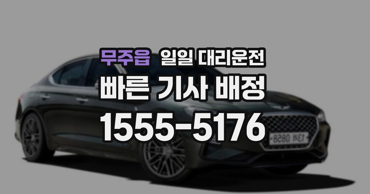 무주읍 일일 대리운전