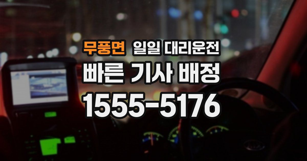 무풍면 일일 대리운전