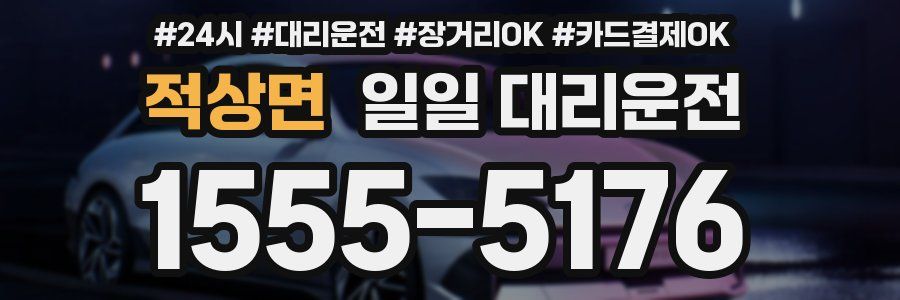 적상면 일일 대리운전
