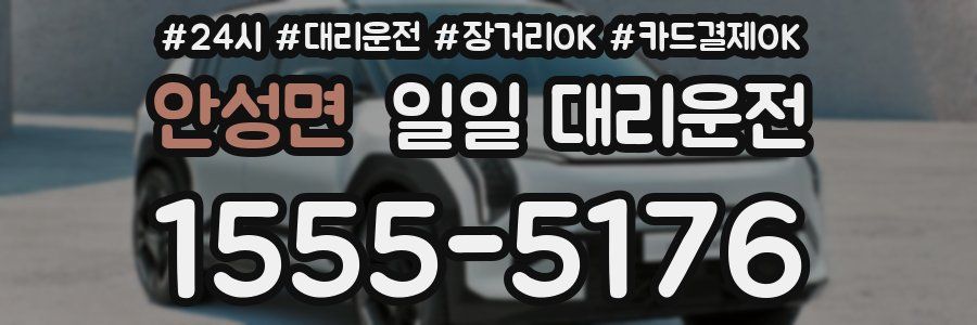 안성면 일일 대리운전