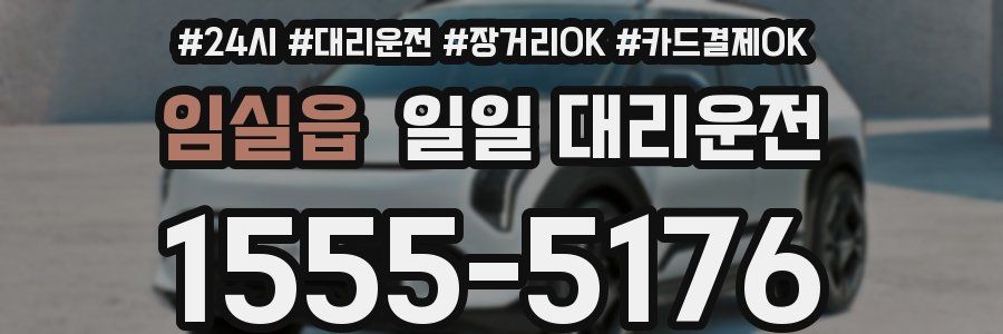 임실읍 일일 대리운전