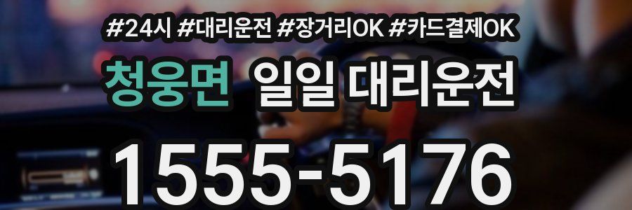 청웅면 일일 대리운전