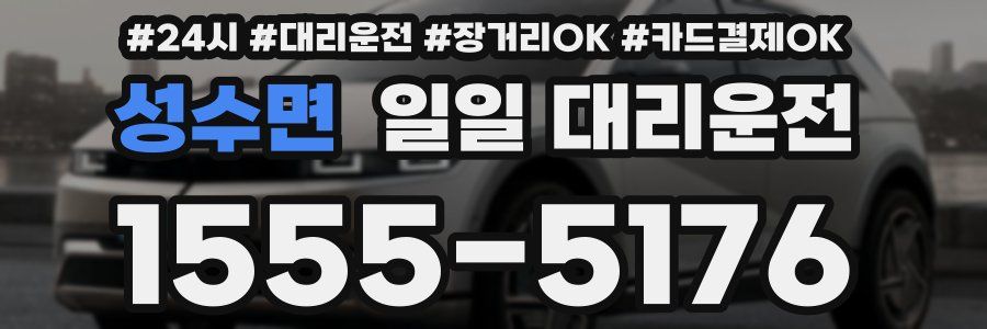 성수면 일일 대리운전