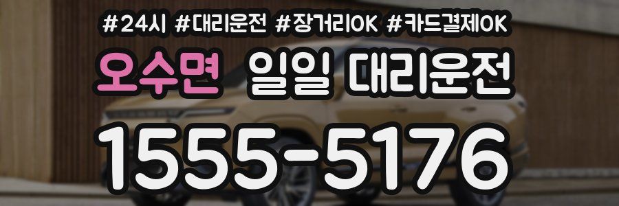 오수면 일일 대리운전
