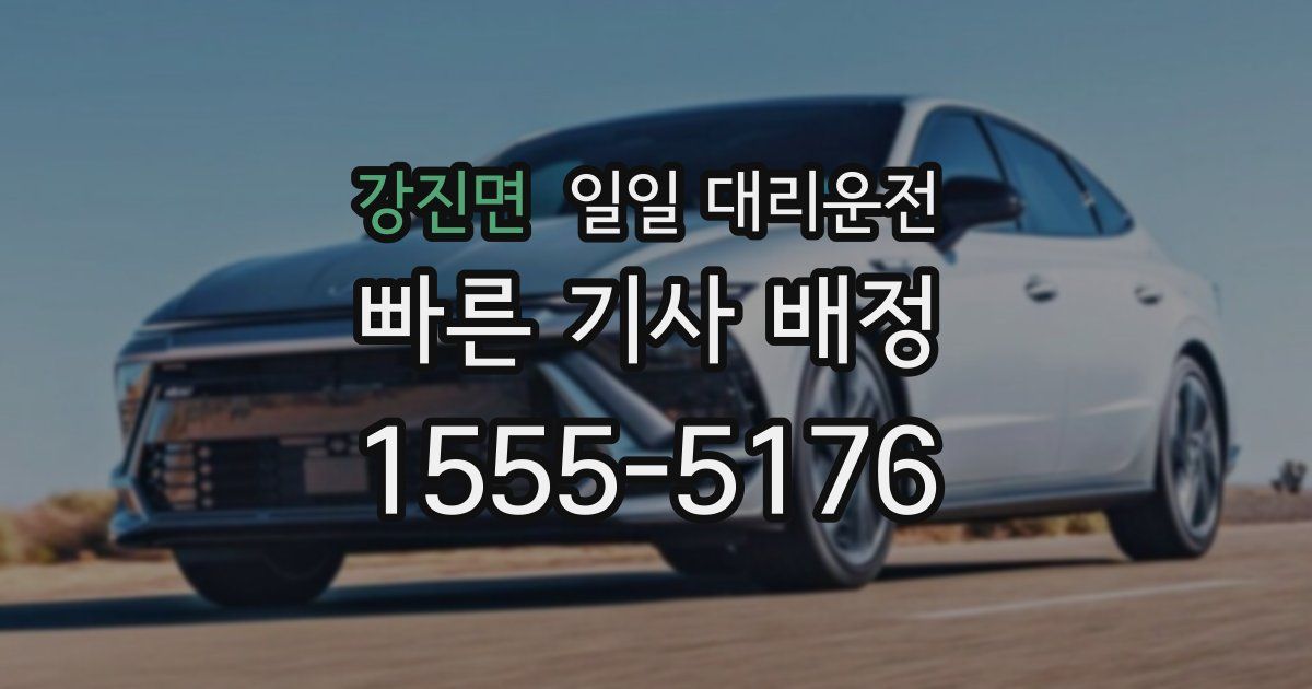 강진면 일일 대리운전