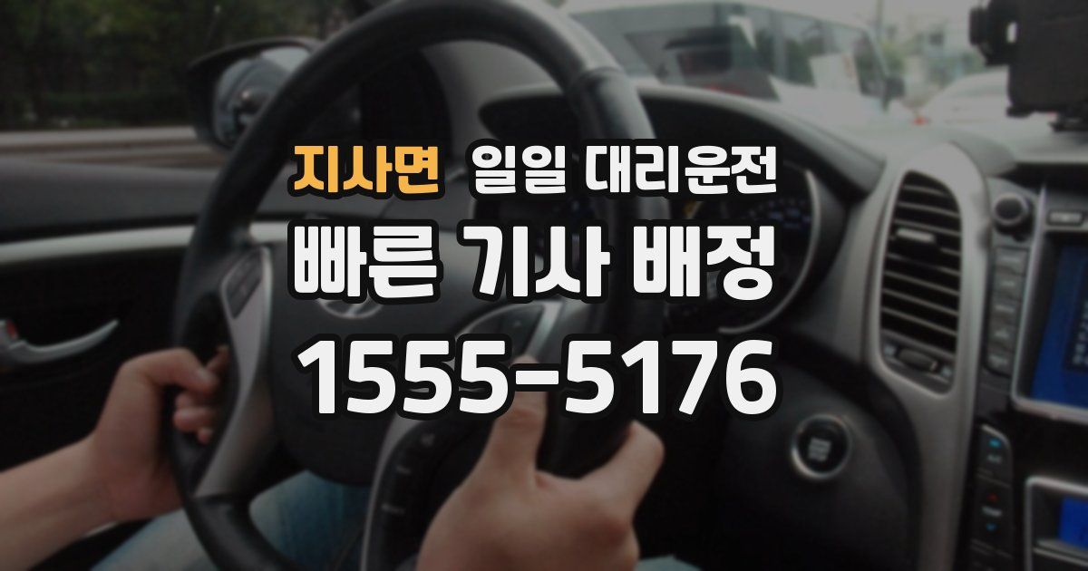 지사면 일일 대리운전