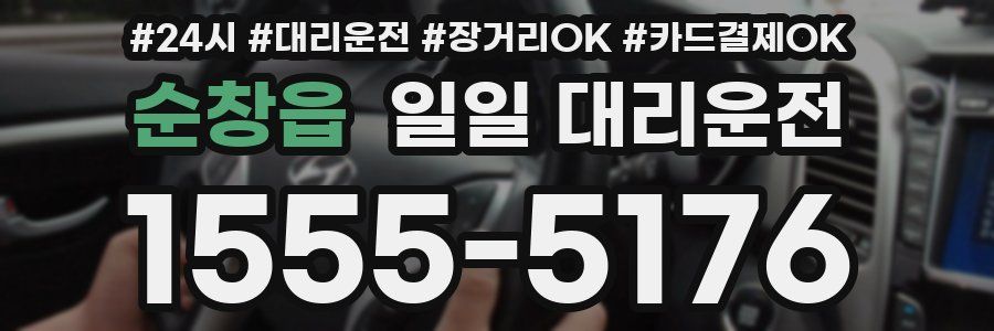 순창읍 일일 대리운전
