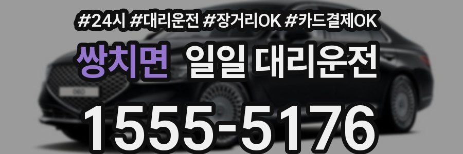 쌍치면 일일 대리운전