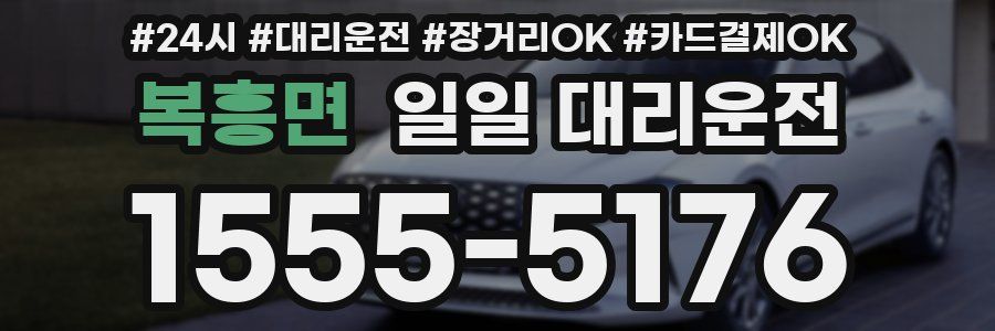 복흥면 일일 대리운전