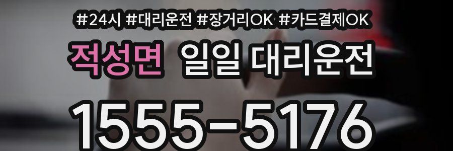 적성면 일일 대리운전