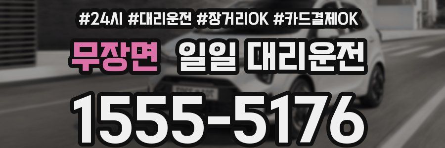 무장면 일일 대리운전
