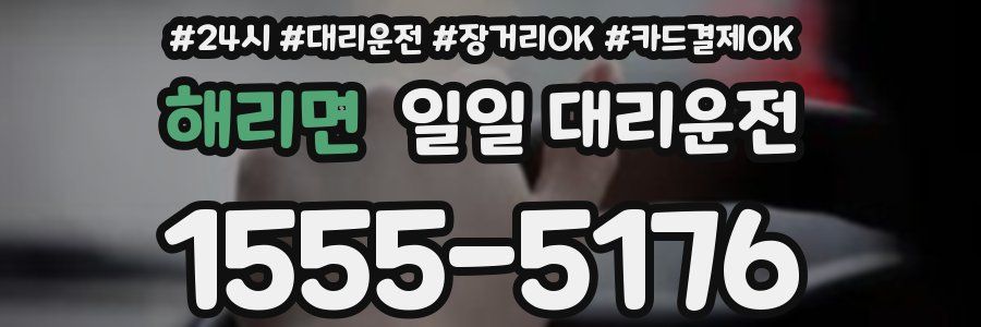 해리면 일일 대리운전