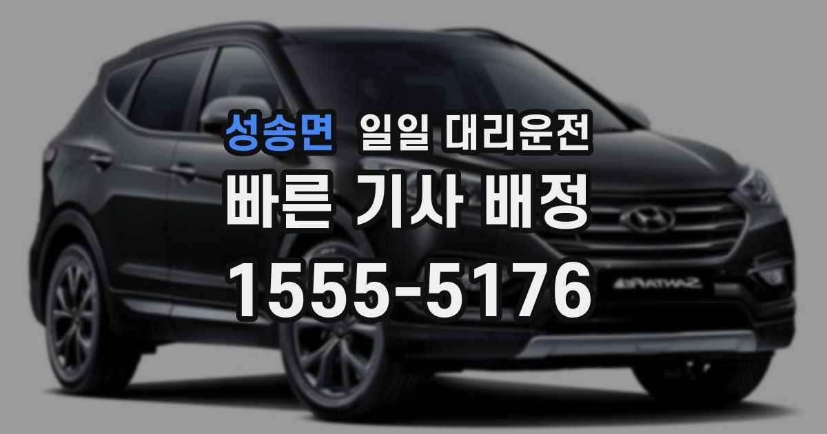 성송면 일일 대리운전