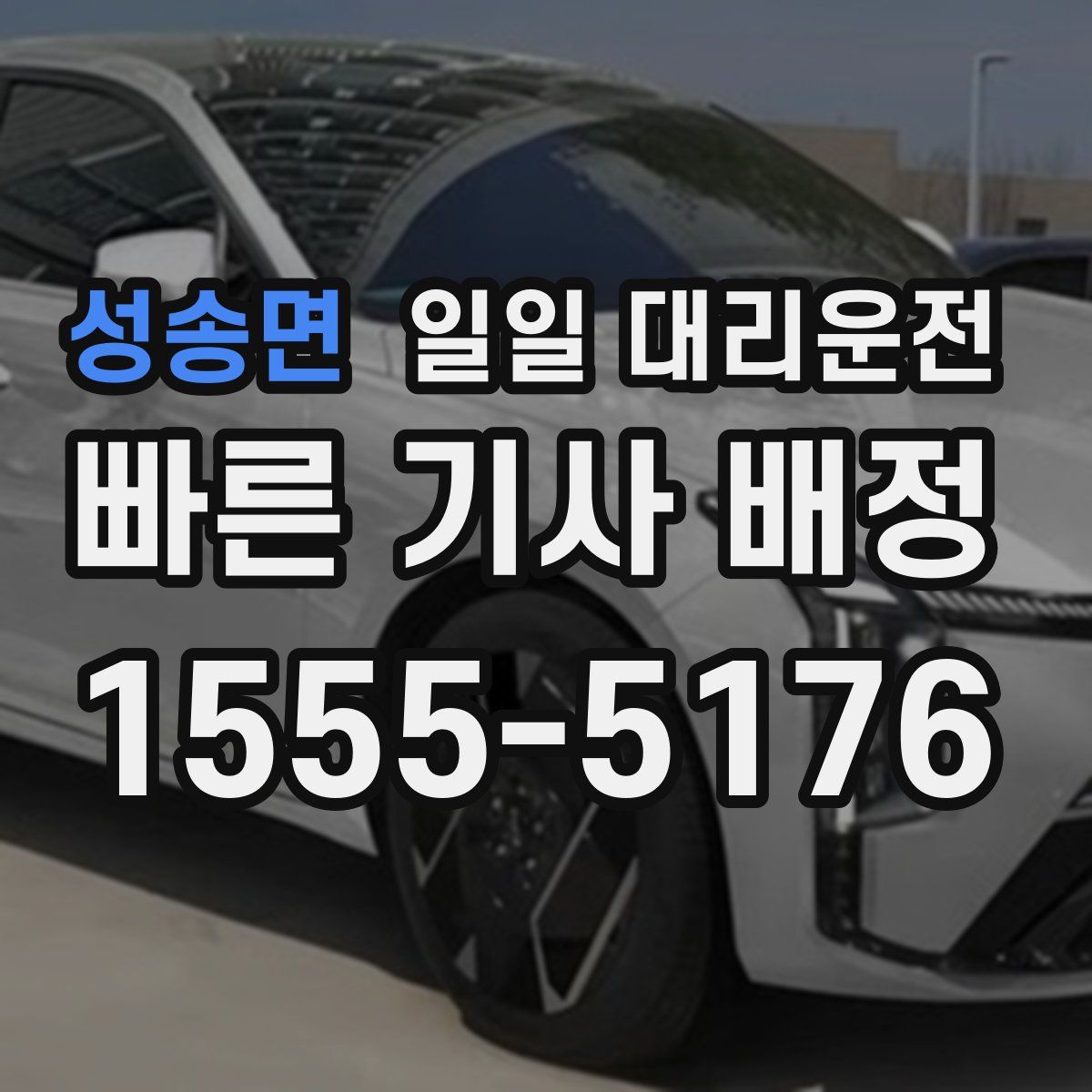 성송면 일일 대리운전