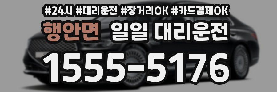 행안면 일일 대리운전