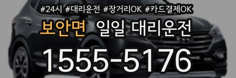 보안면 일일 대리운전