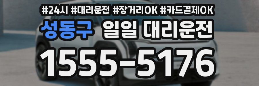 성동구 일일 대리운전