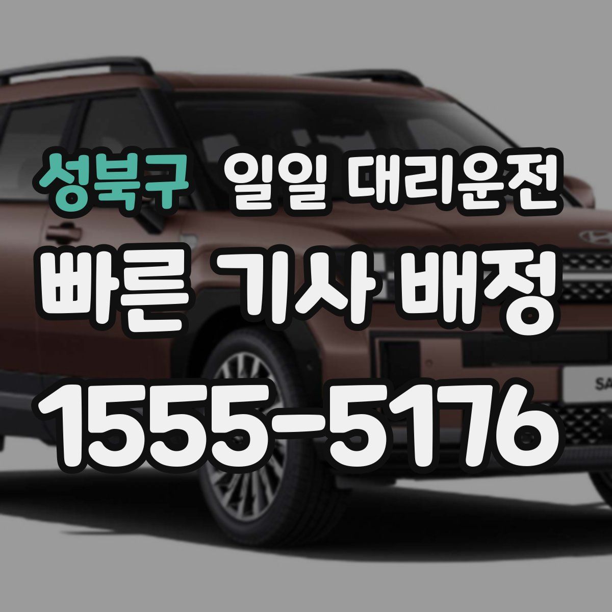 성북구 일일 대리운전
