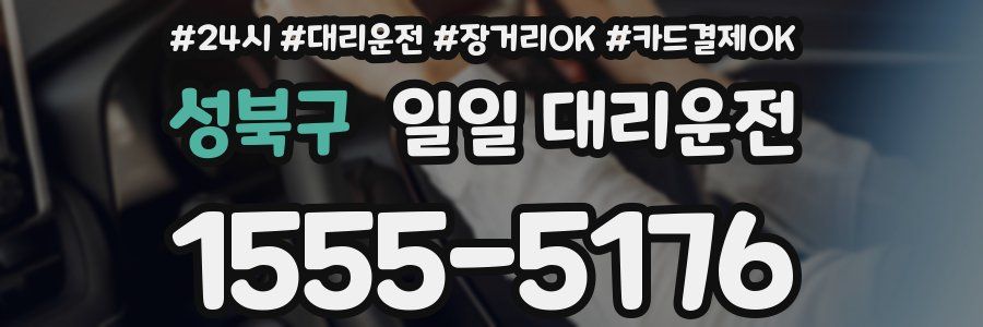 성북구 일일 대리운전