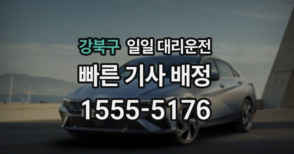 강북구 일일 대리운전