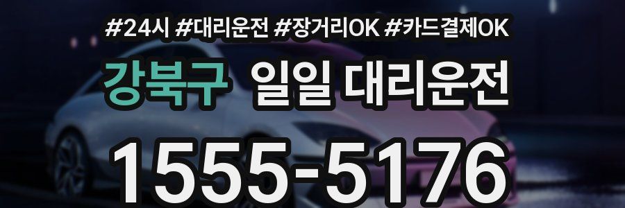 강북구 일일 대리운전