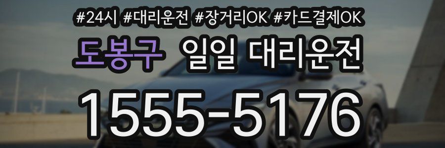 도봉구 일일 대리운전