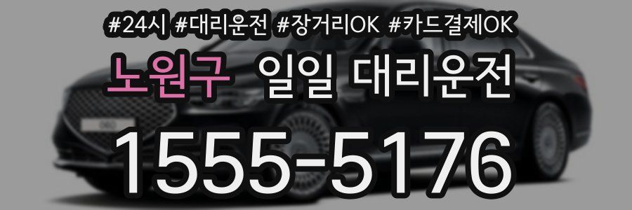 노원구 일일 대리운전