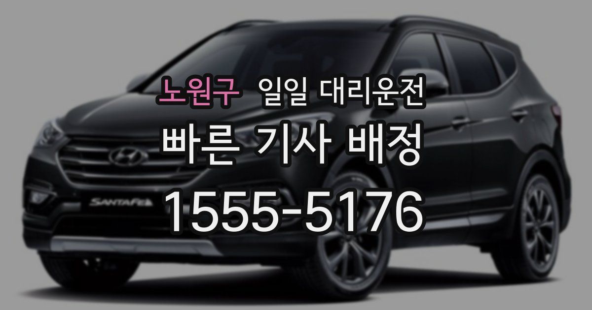 노원구 일일 대리운전
