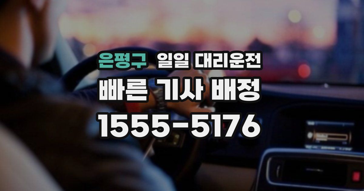 은평구 일일 대리운전