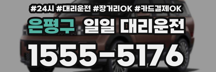 은평구 일일 대리운전