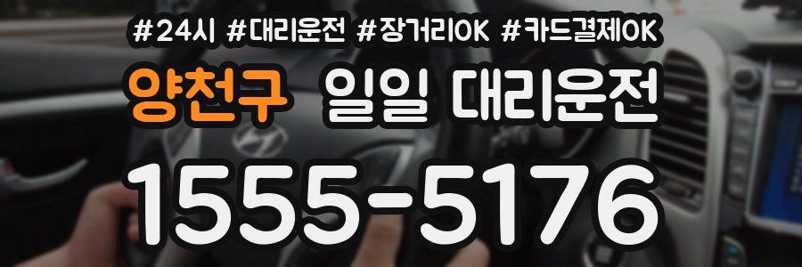양천구 일일 대리운전