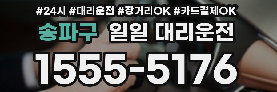 송파구 일일 대리운전