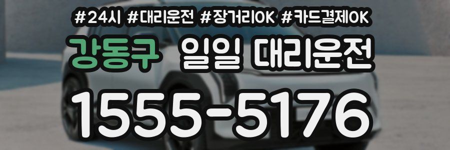 강동구 일일 대리운전