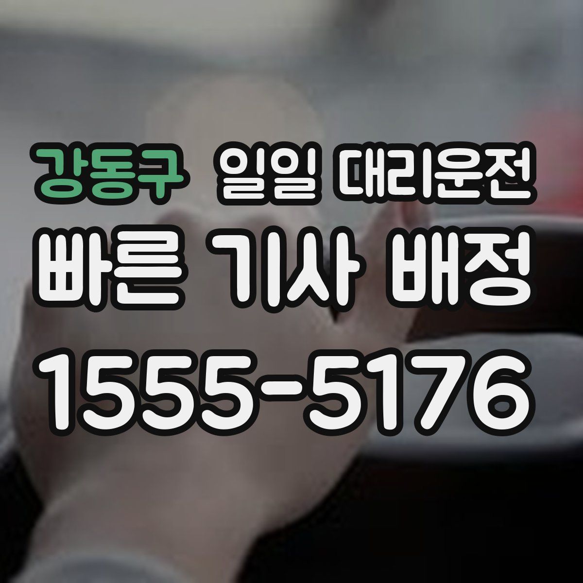강동구 일일 대리운전